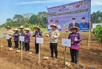 Penanaman simbolis bibit Jahe Merah dan Kunyit bantuan dari DPKP Kabupaten Tangerang