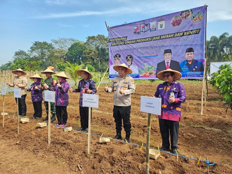 Penanaman simbolis bibit Jahe Merah dan Kunyit bantuan dari DPKP Kabupaten Tangerang 