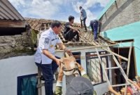 Bupati Tangerang Maesyal Rasyid ikut gorong royong menurunkan genteng RTLH milik Janda tua di Kecamatan Sepatan, Jumat 4 April 2025