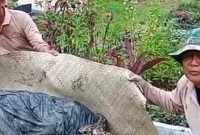 Foto ; Screenshoot Vidio 