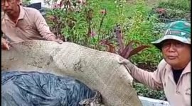 Foto ; Screenshoot Vidio 