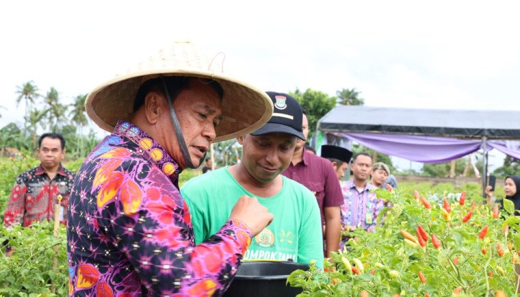 Bupati Tangerang Maesyal Rasyid saat panen Raya Cabai Setan di Desa Kemuning Kecamatan Legok 
