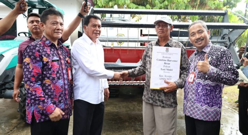 foto slider headline