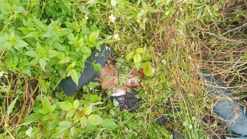 Beberapa waktu lalu ditemukan Pria tewas berlumuran darah disemak-semak pinggir jalan Kp Jantungeun Desa Mekarsari Kecamatan Jambe Kabupaten Tangerang 