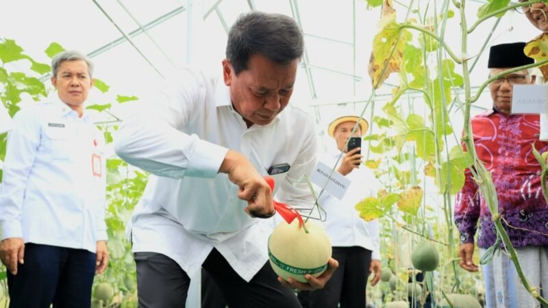 Bupati Tangerang Maesyal Rasyid 