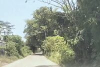 Cuaca panas mencapai 37 derajat Celcius menurut BMKG efek sorotan matahari tidak terhalang awan 