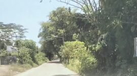 Cuaca panas mencapai 37 derajat Celcius menurut BMKG efek sorotan matahari tidak terhalang awan 